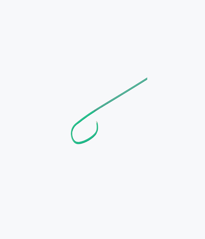 Guiding Catheter